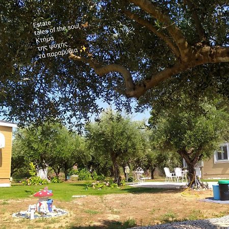 Bungalows With Private Pools "Tales Of The Soul - Της Ψυχής Τα Παραμύθια" Anemochori Exterior photo