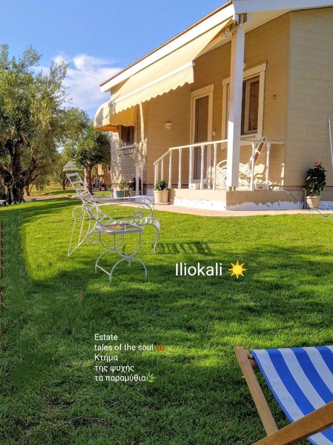 Bungalows With Private Pools "Tales Of The Soul - Της Ψυχής Τα Παραμύθια" Anemochori Exterior photo